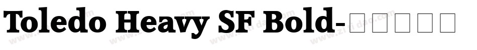 Toledo Heavy SF Bold字体转换